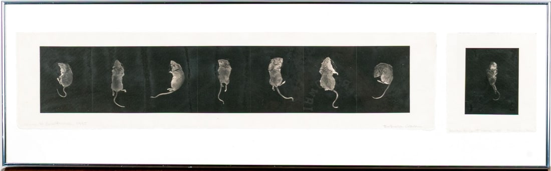 Barbara Crane (American, 1928-2019) "Coloma To Covert: Mice, 1995" Signed Gelatin Silver Print: Barbara Crane (American, 1928-2019) "Coloma to Covert: Mice, 1995" photographic print depicting a horizontal arrangement of scene depicting mice in various positions against black grounds, with the la