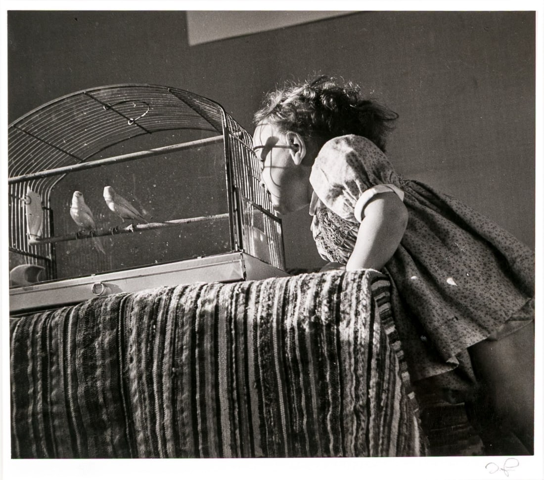 Irene Fay (Russian, 1914-1986) "Jani And Birdcage, C. 1947" Signed Gelatin Silver Print: Irene Fay (Russian, 1914-1986) "Jani and Birdcage, c. 1947" gelatin silver print depicting a young girl curiously peeking into a birdcage to look at two perching birds over a table covered with a stri