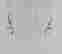 item-108062145=2
