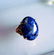 Natural Blue Lazuli Oval Cabochon Ring 17.85Ct 14k Y/g - 2