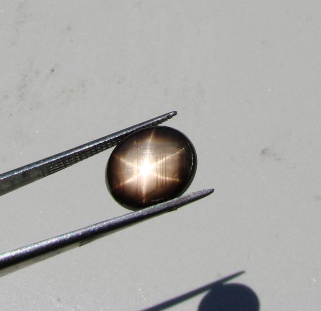 Natural Black Cabochon Star Sapphire 8.82Ct (1 of 3)