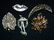 5pc VTG SILVER RHINESTONE BROOCH LOT LEAF LIPS XR - 6