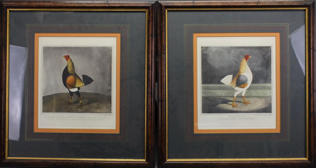 (2) Framed Hand Colored Engravings of Chickens (1 of 3)