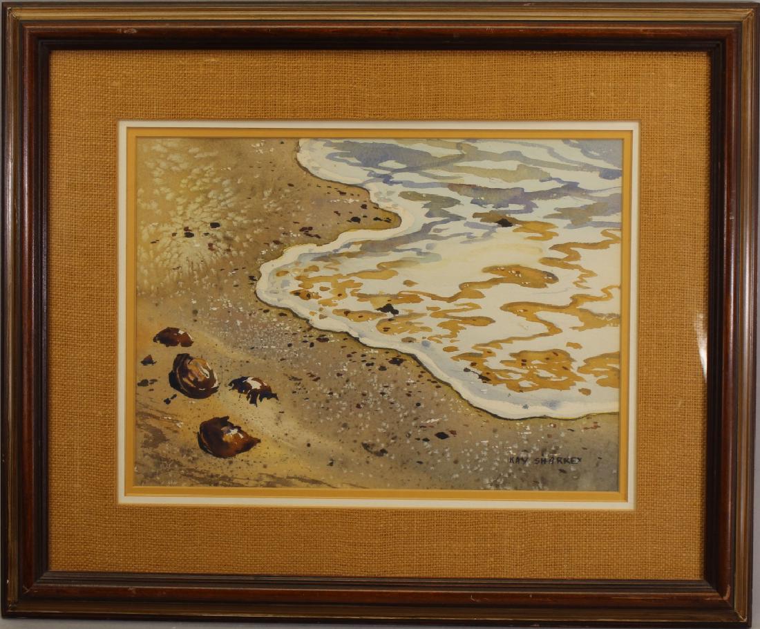 Kay Sharkey, 20th C. Watercolor of Sea Shells (1 of 4)