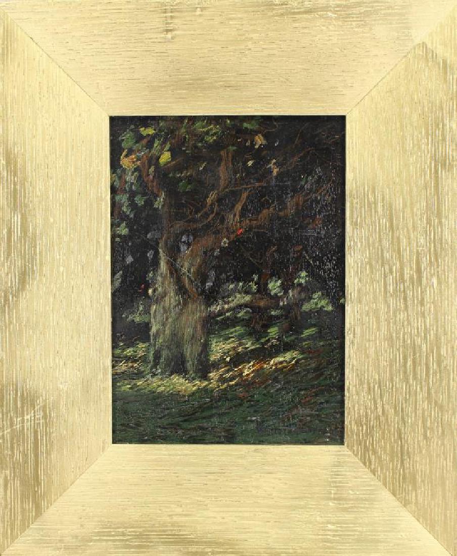 Van Dearing Perrine (1869 - 1955) (1 of 4)