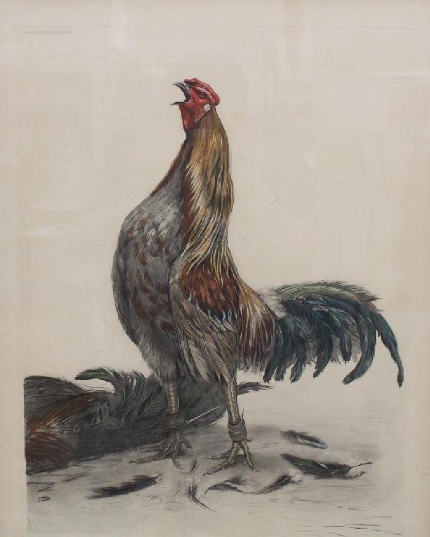 "Victory" Leon Danchin (1 of 6)