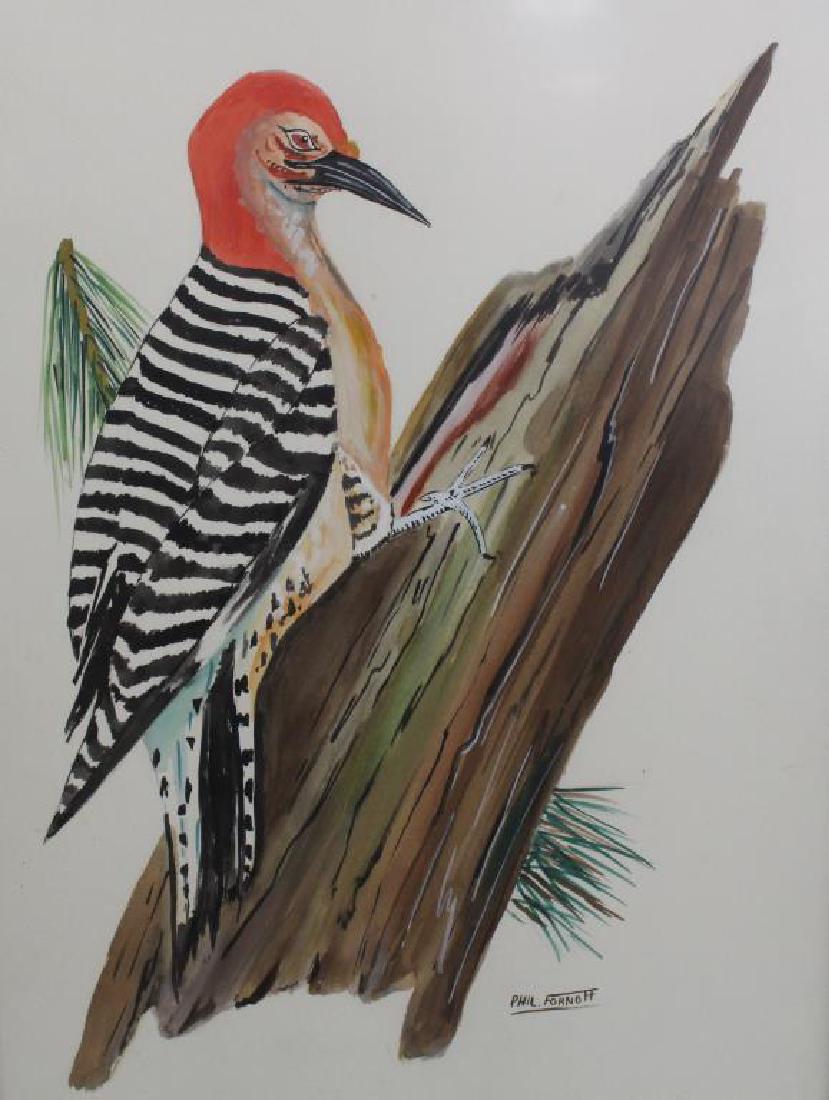 Phil Fornoff, Framed Vintage Watercolor of a Bird (1 of 5)