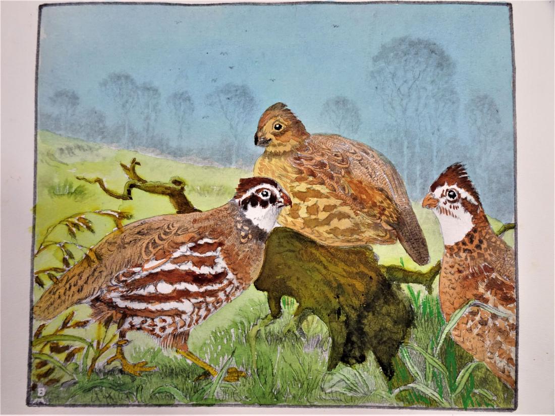 Benson Bond Moore (1882-1974) "Quails": Benson Bond Moore (1882-1974) Quails colored etching. unframed_x000D_ Sight Size: 13 x 15 in.