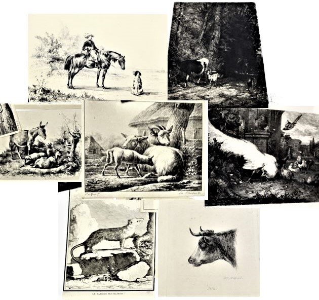 A Collection of 8 Old Master and 19th C Prints: A Collection of 8 Old Master and 19th C Prints. Please contact Eamon at Premier Shipping and Crating for a quote to pack and ship at 941-358-9999 or email at info@premiershipment.com