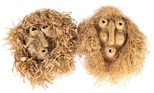 Pair of Iroquois Corn Husk Ceremonial Masks: Both approx 15 in long.Please note that all sales are final and no refunds will be given under any circumstances. Sarasota Estate Auction provides condition reports as a courtesy to our clients and as