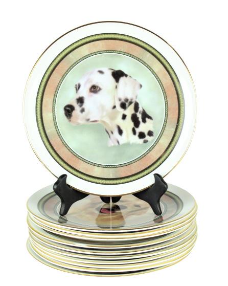 (11) Mayfair Staffordshire Dog Portrait Plates: Beautiful Staffordshire plates of fine bone china with gold trim, each depicting a different breed of dog. Eleven in total, 9 in. diameter.Please note that all sales are final and no refunds will be g