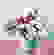 item-92459701=2