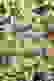 item-92458595=5