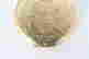 item-99935694=3