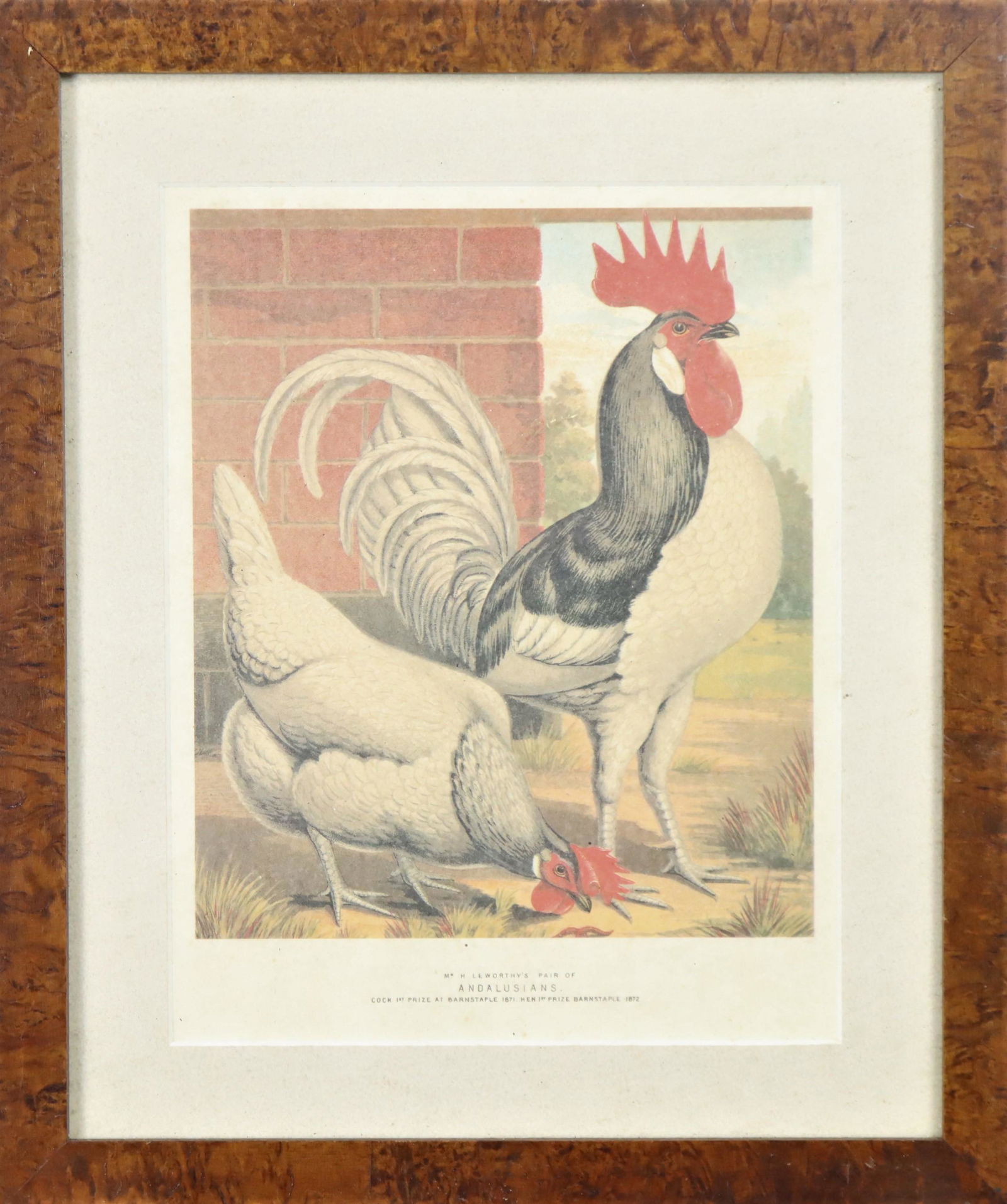 JW Ludlow, Chromolithograph "Andalusians" (1 of 4)