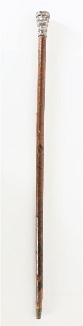 Sterling Silver and Carved Wood Cane (1 of 7)