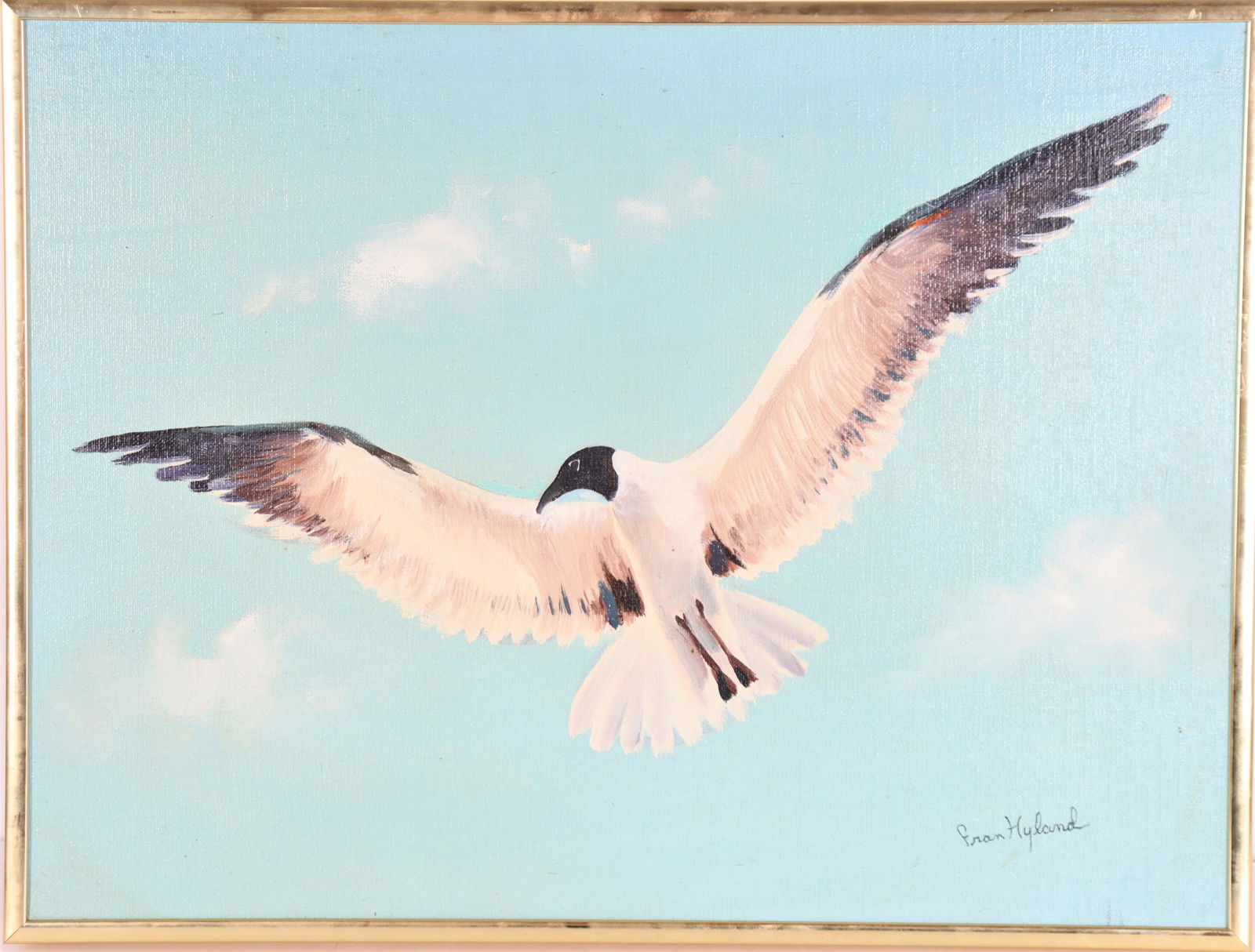 Fran Hyland, Seagull Oil on Canvas (1 of 3)
