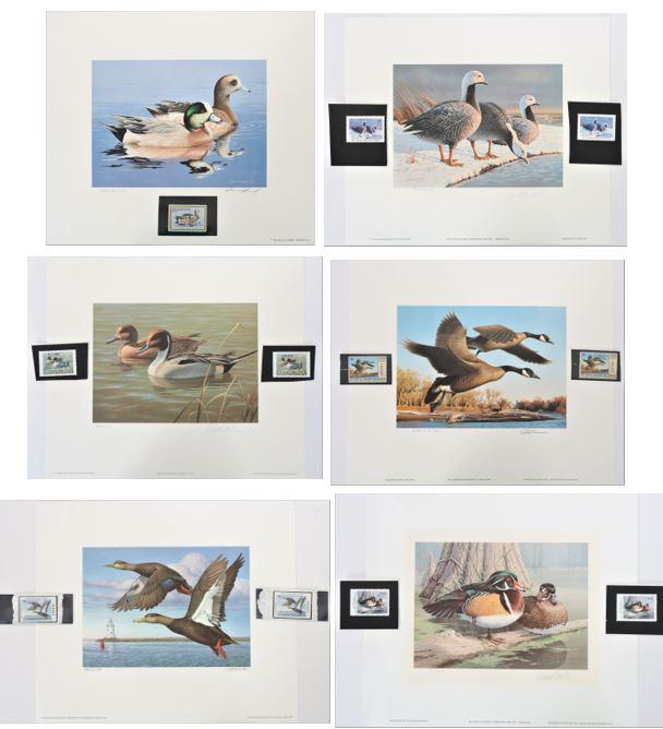 1 Federal & 10 State Duck Stamps and Lithos (1 of 20)