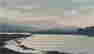 item-117317152=2