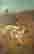item-117317205=2