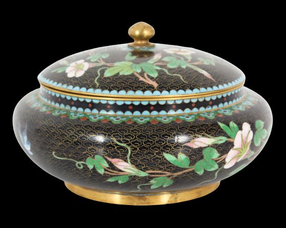Chinese Cloissonne Bowl w Lid (1 of 10)
