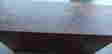 item-127659310=4