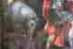 item-131831891=5