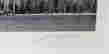 item-131831924=3