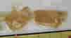 item-131832032=4