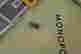 item-131832032=9