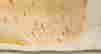 item-131832161=2