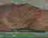 item-131832380=2