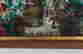 item-131832410=3