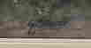 item-131832424=3
