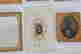 item-131832487=7