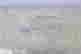 item-131831241=2