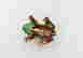 item-131831310=5