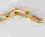 item-131831400=6