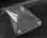 item-131831516=5