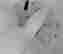 item-131831594=4