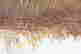 item-131831878=4