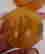 item-133397507=3