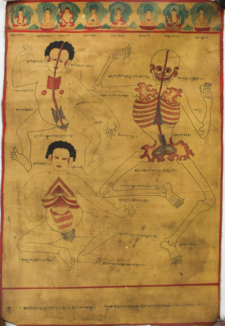 Unusual Tibetan/Nepalese Painted Anatomy Thangka: Unusual Tibetan/Nepalese Painted Anatomy Thangka. The canvas with three images of the human body, one skeletal, the others highlighting organs, each image presumably, with identification inscriptions,