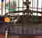item-133401576=13