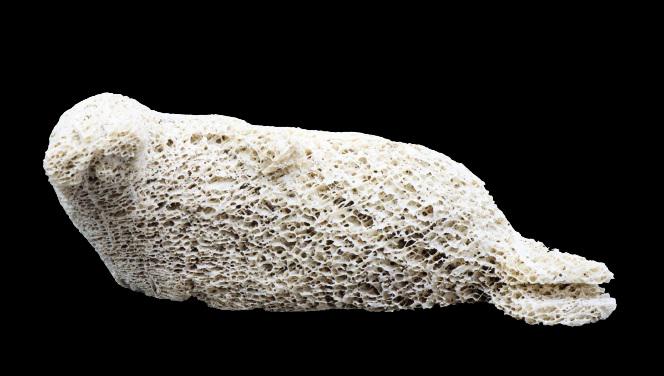 Inuit Fossilized Whalebone Carving of a Seal (1 of 9)