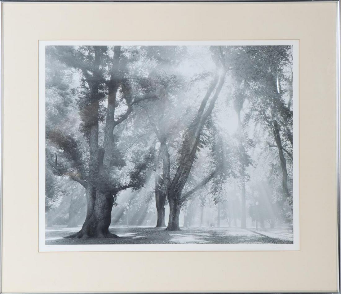 Bruce Barnbaum (b 1943) American, Photograph (1 of 5)