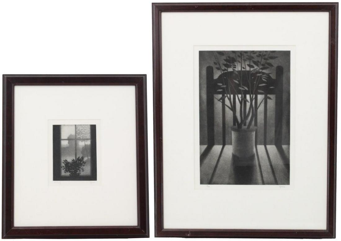 Robert Kipniss (B. 1931) USA, Etching & Mezzotint (1 of 19)