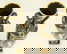item-169107214=2