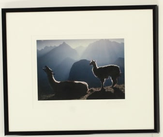 Lisa Kristine (B 1965) American, Photograph