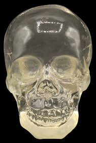 Transparent Acrylic Skull